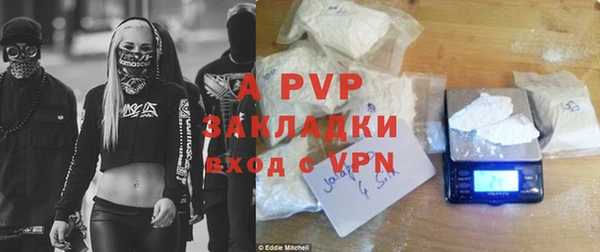 хмурый Алзамай
