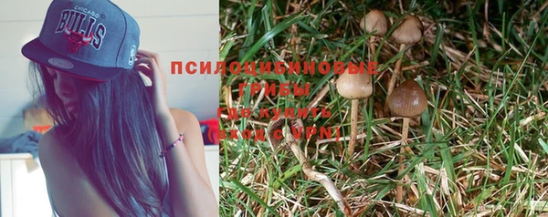 хмурый Алзамай