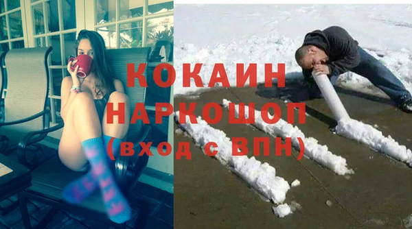 хмурый Алзамай