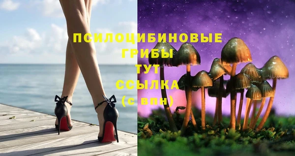 хмурый Алзамай