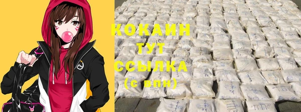 хмурый Алзамай